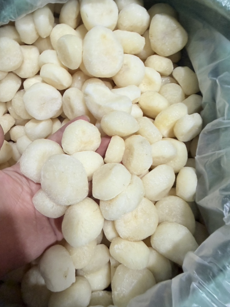 广西桂林荔浦生动整粒马蹄速冻整粒马蹄厂家直发