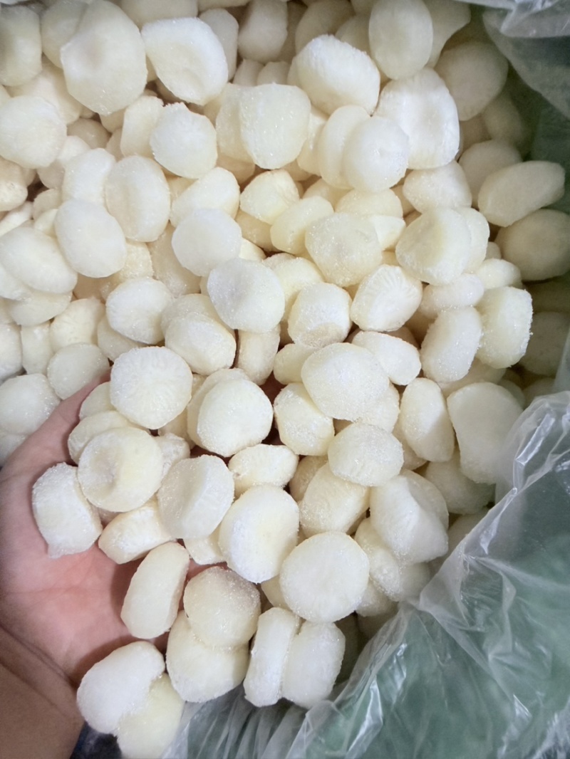 广西桂林荔浦生动整粒马蹄速冻整粒马蹄厂家直发