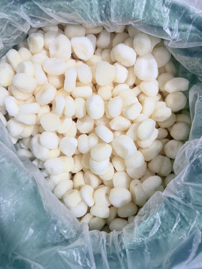 广西桂林荔浦生动整粒马蹄速冻整粒马蹄厂家直发
