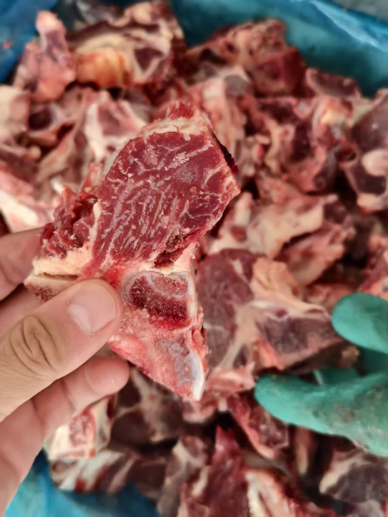 牛脊骨