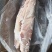 金锣后上肉