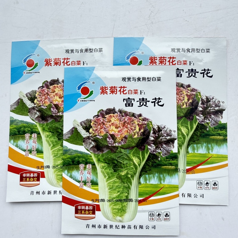 紫菊花白菜富贵花白菜种子观赏与食用性白菜营养丰富大白菜种