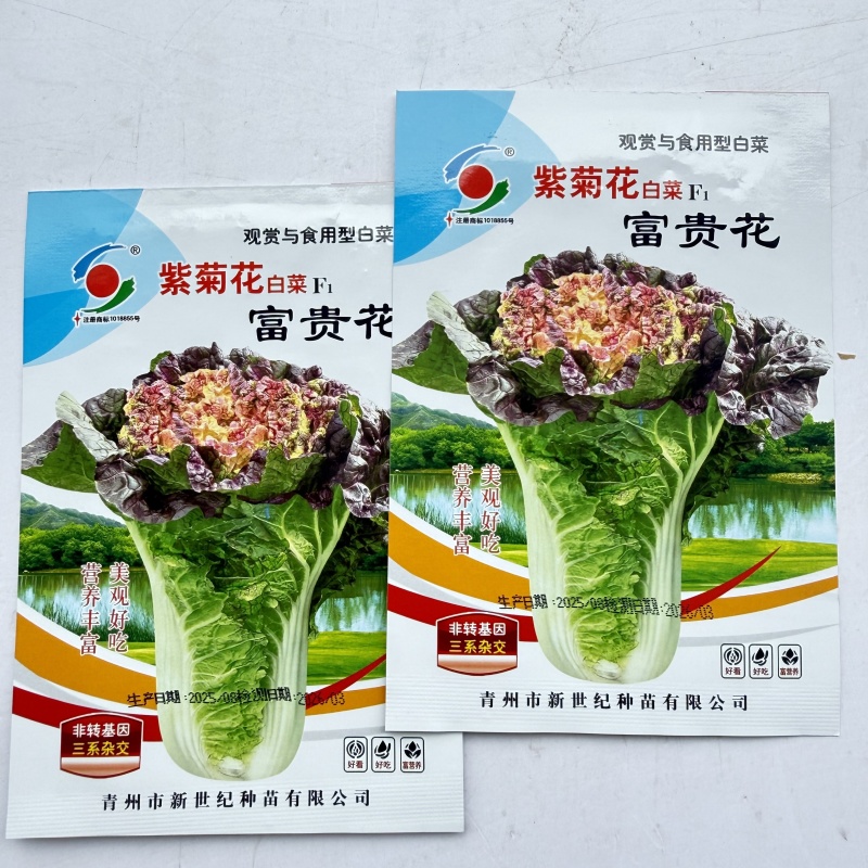 紫菊花白菜富贵花白菜种子观赏与食用性白菜营养丰富大白菜种