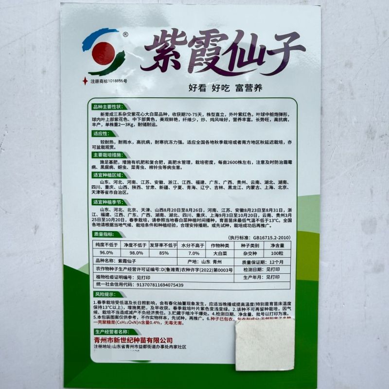 紫霞仙子紫心大白菜种子花青素高耐寒观赏食用秋播耐储运