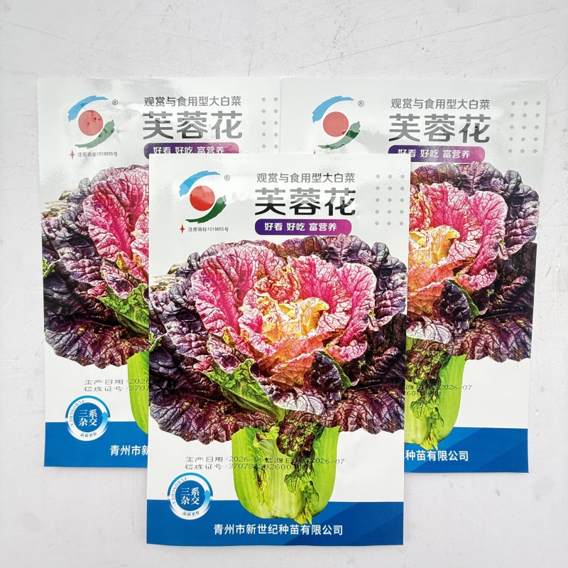 芙蓉花大白菜种子杂交观赏食用彩色白菜籽特色紫红叶高营养蔬