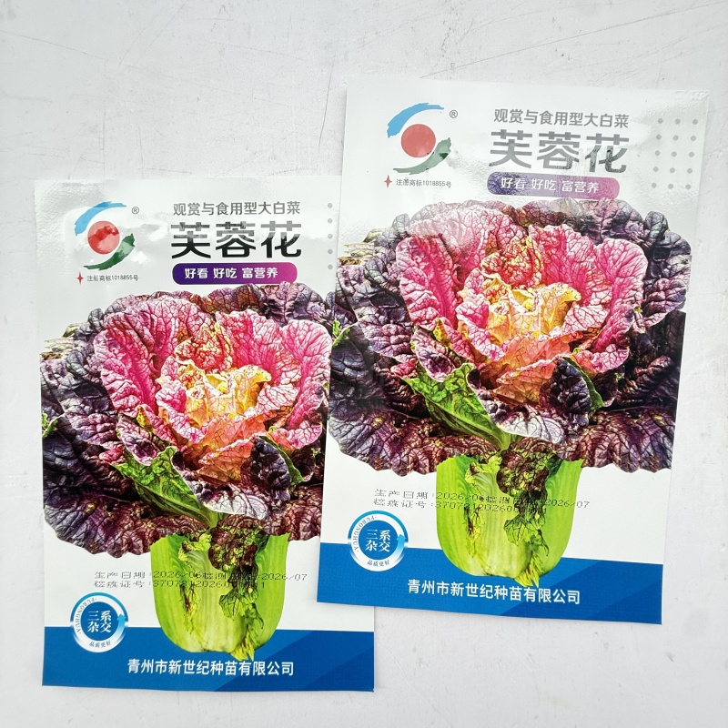 芙蓉花大白菜种子杂交观赏食用彩色白菜籽特色紫红叶高营养蔬