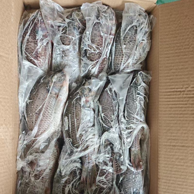 罗非鱼二去三
