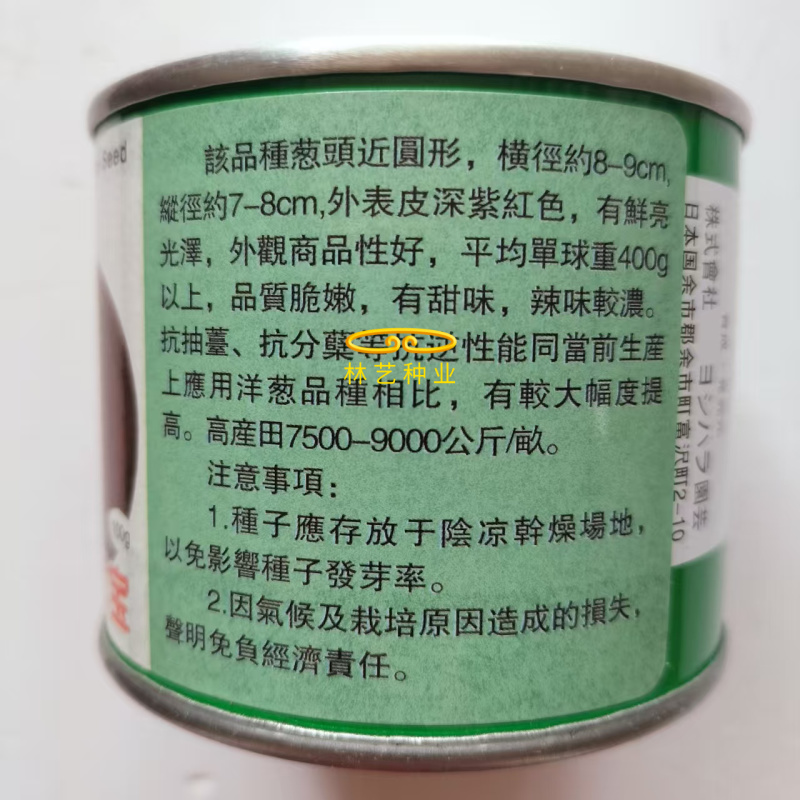 紫红宝紫皮洋葱种子质脆微甜深紫红色皮中熟高扁圆葱