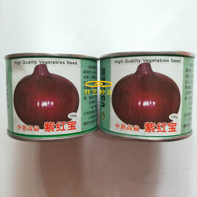 紫红宝紫皮洋葱种子质脆微甜深紫红色皮中熟高扁圆葱