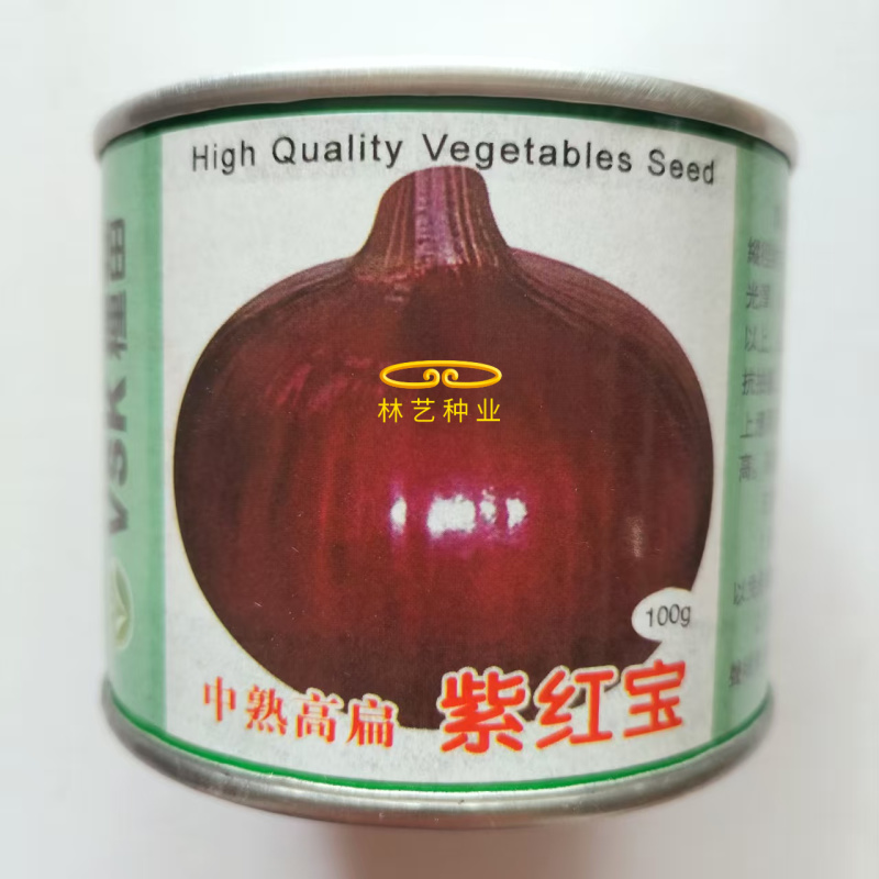 紫红宝紫皮洋葱种子质脆微甜深紫红色皮中熟高扁圆葱