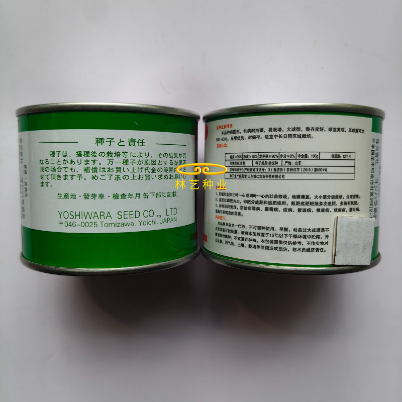 紫星一号紫皮洋葱种子中长日照耐寒性强抗病性强抽苔少扁圆形