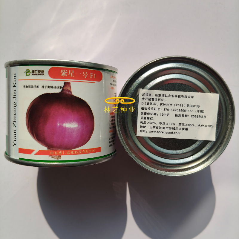 紫星一号紫皮洋葱种子中长日照耐寒性强抗病性强抽苔少扁圆形