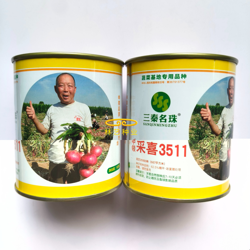 中领采喜3511洋葱种子中早熟鲜红色苹果型辣味少有甜味
