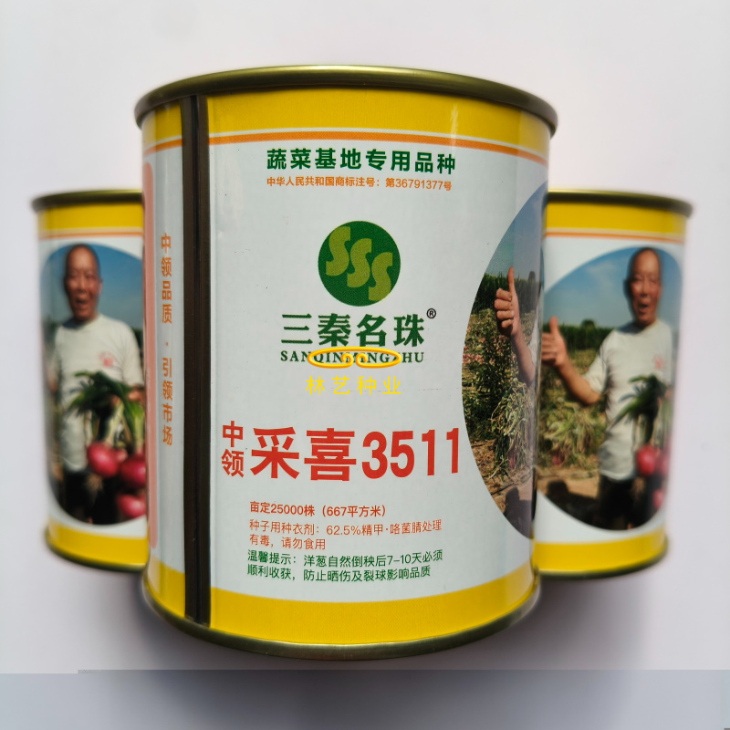 中领采喜3511洋葱种子中早熟鲜红色苹果型辣味少有甜味