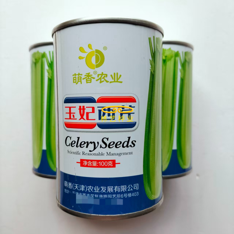 玉妃西芹种子生长速度快耐低温不易抽苔抗病较强纤维少芹菜蔬
