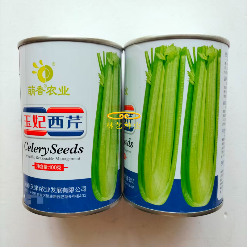 玉妃西芹种子生长速度快耐低温不易抽苔抗病较强纤维少芹菜蔬