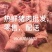 热鲜鲜猪肉
