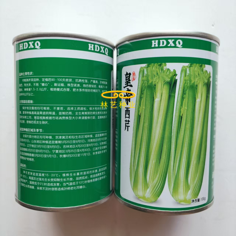 皇帝西芹芹菜种子中晚熟叶柄亮黄绿色有光泽抗病性强产量高