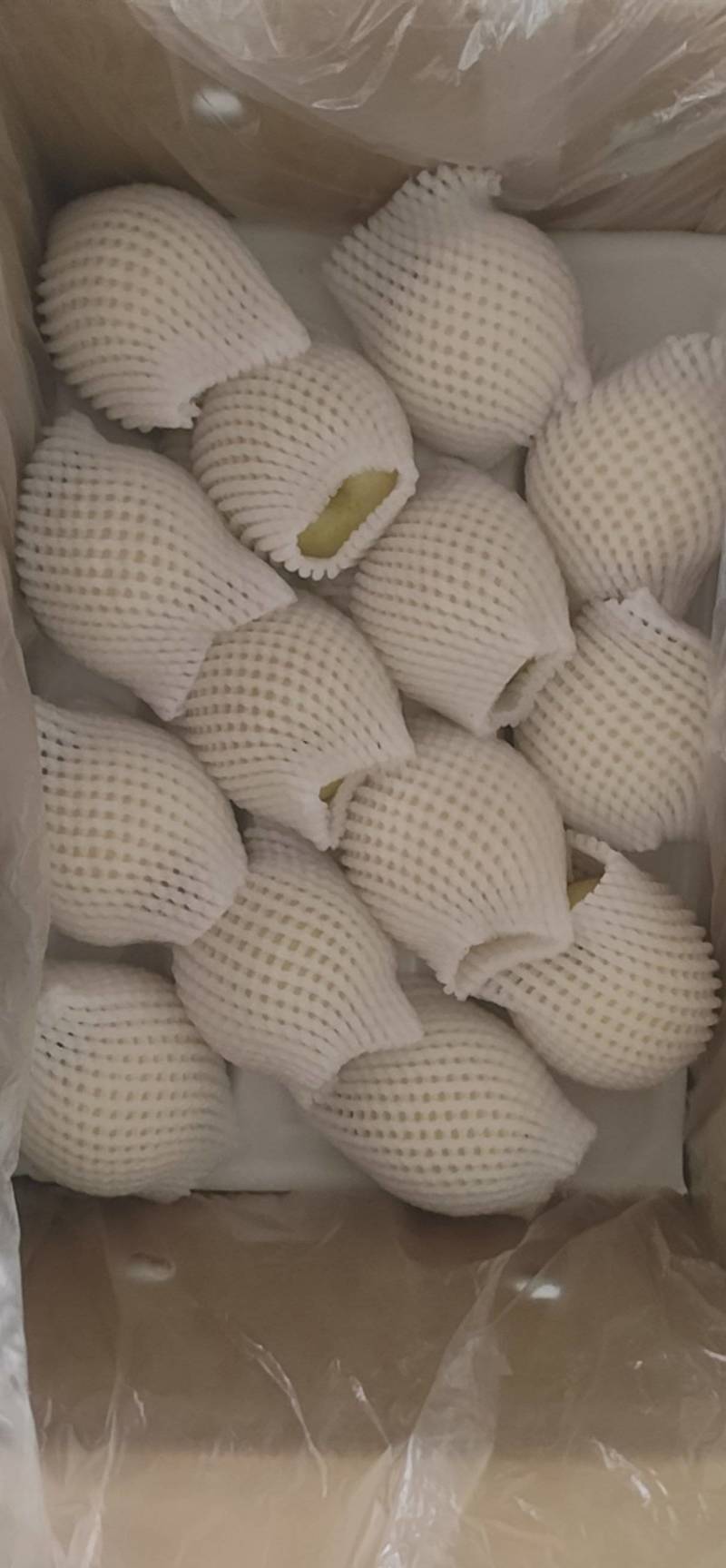 皇冠梨