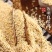 【新货】熟白芝麻现炒即食家用免洗原料商用批发
