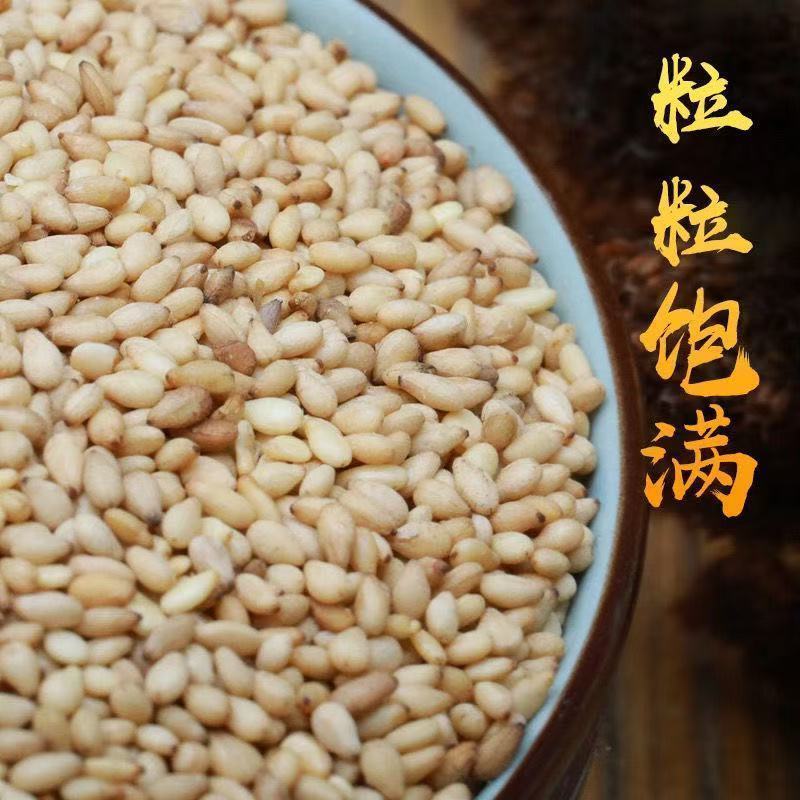 【新货】熟白芝麻现炒即食家用免洗原料商用批发