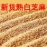 【新货】熟白芝麻现炒即食家用免洗原料商用批发