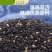 3斤新货正宗炒熟黑芝麻免洗即食颗粒饱满***商用无干燥剂