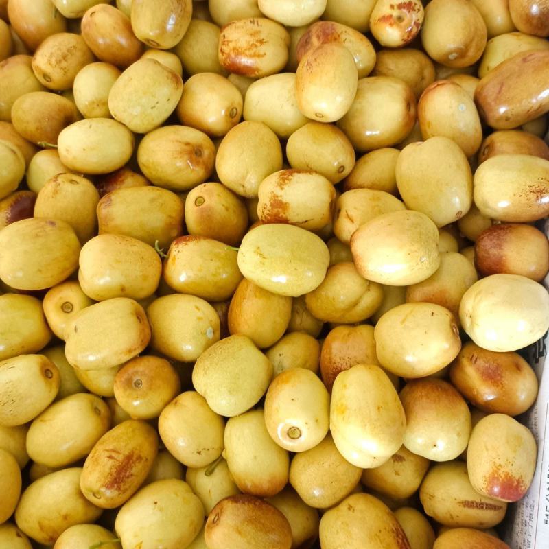 米枣