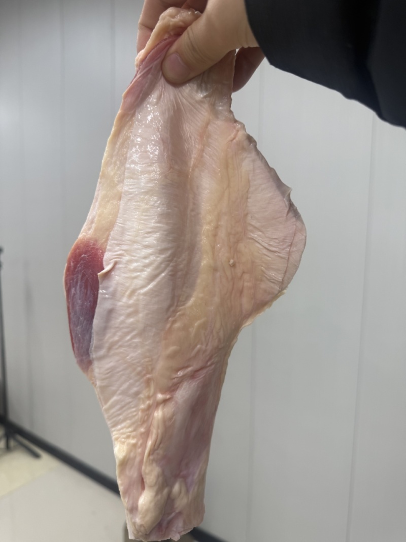 牛腩筋