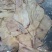 牛腩筋