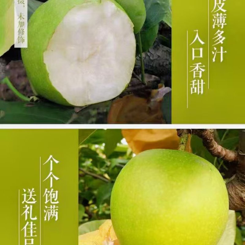 青皇冠产地供应口感脆甜无渣，肉质细腻，裹面干净。货源充足