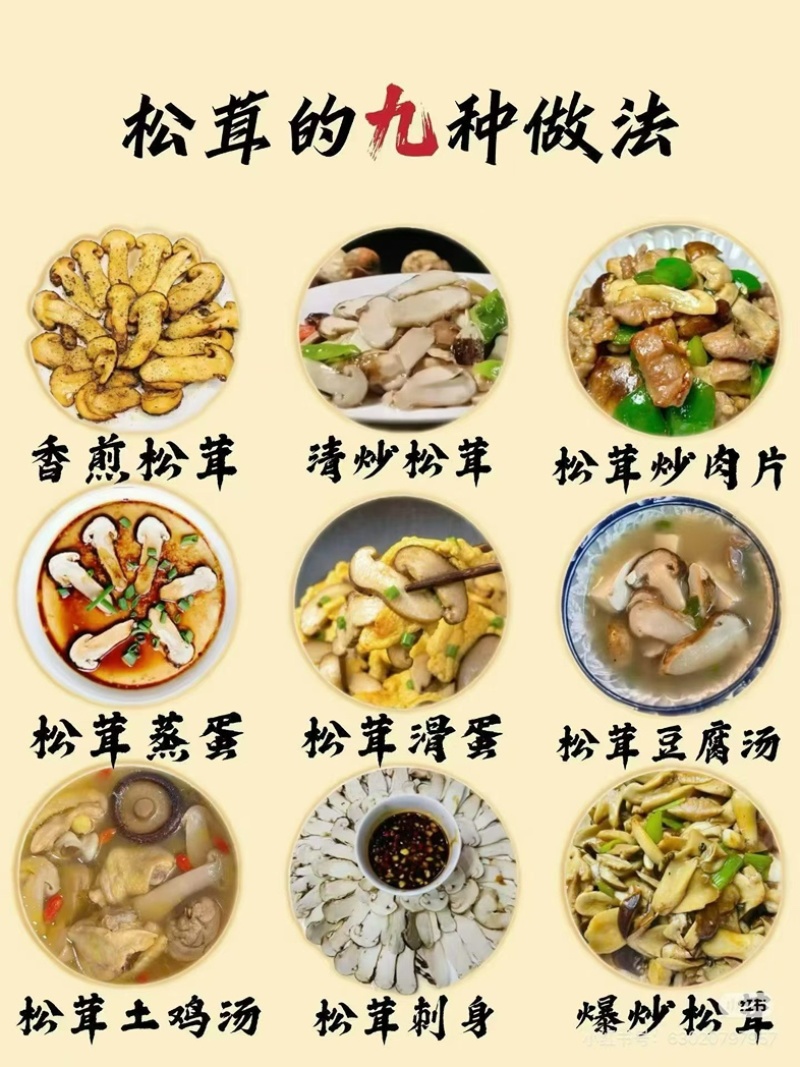 雅江松茸