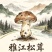 雅江松茸