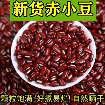 东北赤小豆49.5斤包邮新鲜大红豆新货批发五谷五谷杂粮