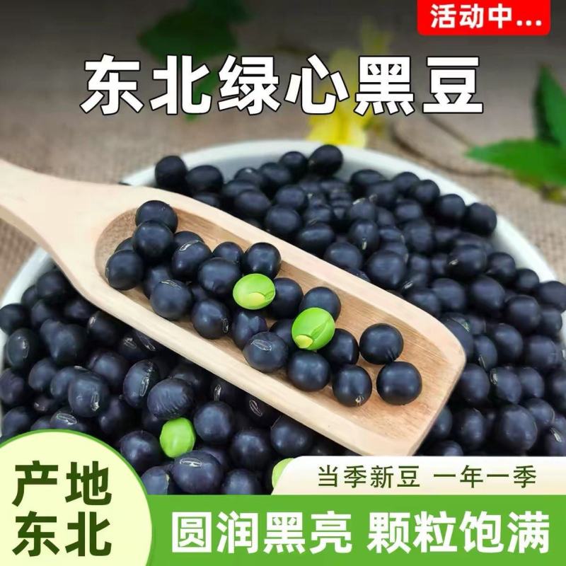 东北青仁绿心黑豆49.5斤包邮新鲜新货绿芯黑豆正宗非转基