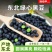 东北青仁绿心黑豆49.5斤包邮新鲜新货绿芯黑豆正宗非转基