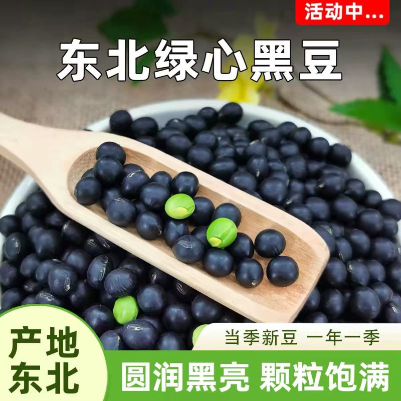 东北青仁绿心黑豆49.5斤包邮新鲜新货绿芯黑豆正宗非转基