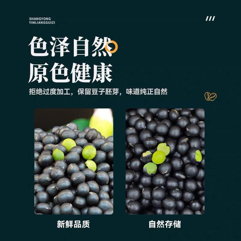 东北青仁绿心黑豆49.5斤包邮新鲜新货绿芯黑豆正宗非转基