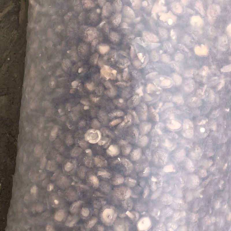 干香菇批发5斤/10斤散装净重干香菇商用散装香菇干货香菇