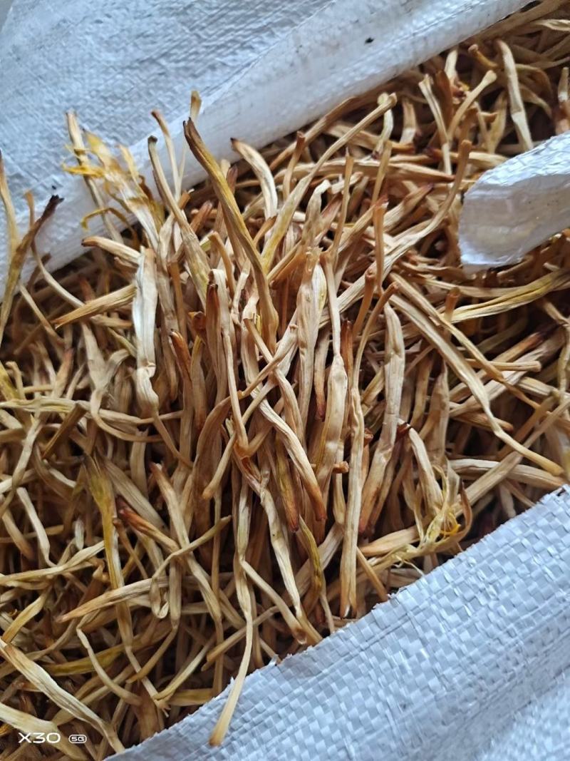 大荔金色黄花菜