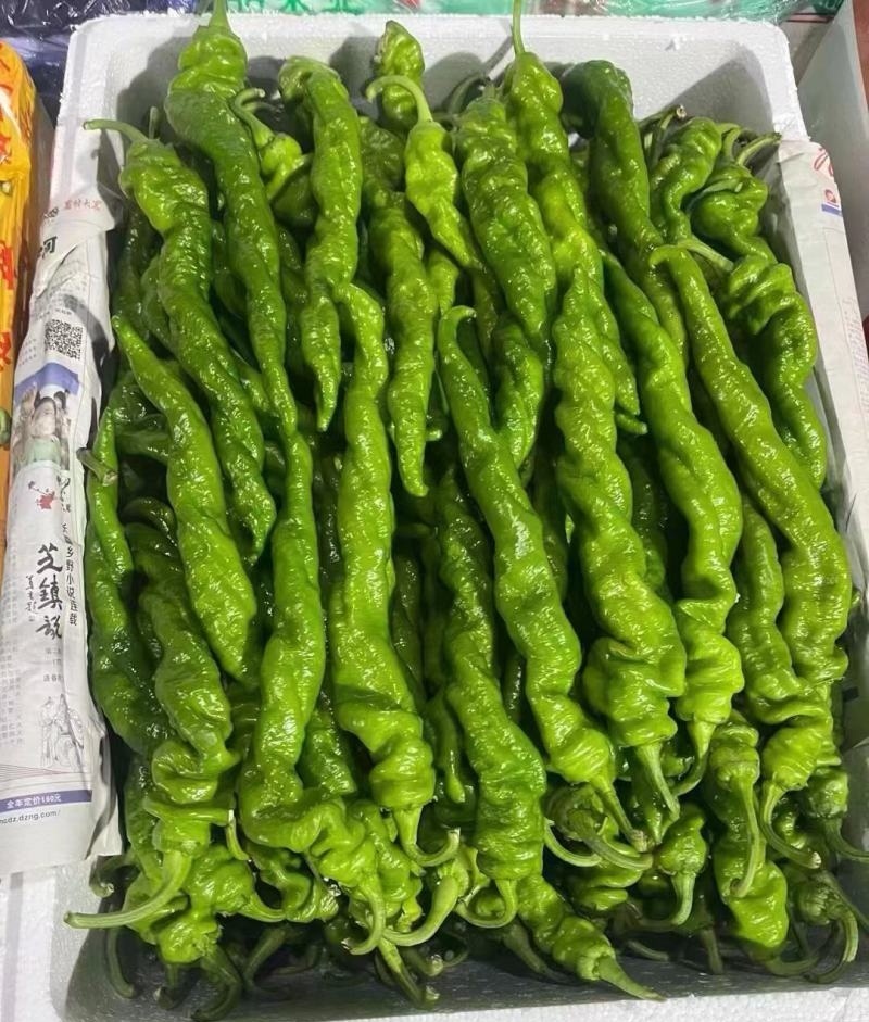 『螺丝椒』陕西鲜辣椒/产地直供/量大从优/欢迎来电洽谈