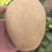 西森77号，西森6号，沃土，大西洋，