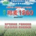 郑麦1860小麦种子河南省农科院培育高产新品种