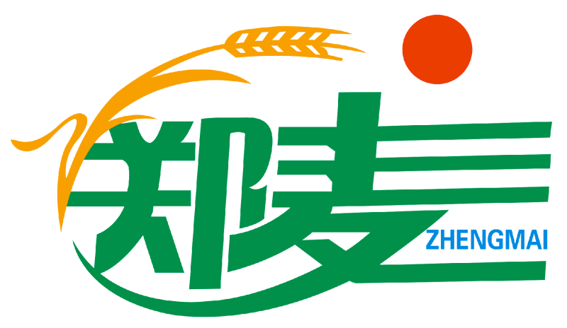 郑麦1860小麦种子河南省农科院培育高产新品种