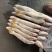 黄三牙三牙鱼黄姑100:200。200/300