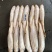 黄三牙三牙鱼黄姑100:200。200/300