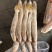 黄三牙三牙鱼黄姑100:200。200/300