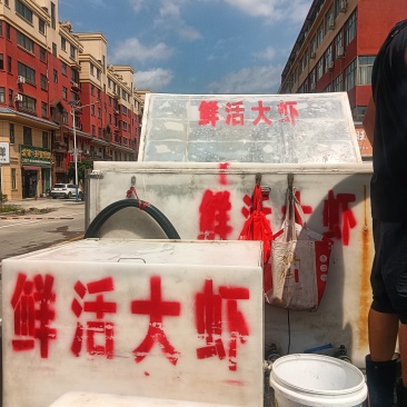 高强度鱼虾箱