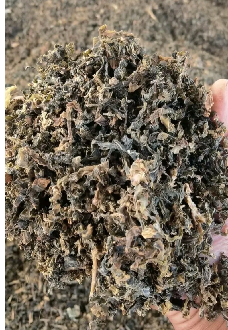 梅干菜农家自制货源充足产地直销严格把关
