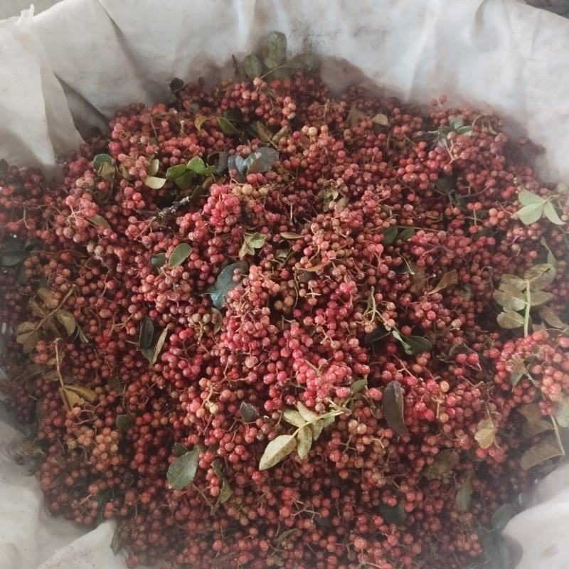 云南新鲜花椒现摘